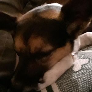 Meet your Posher, Allison